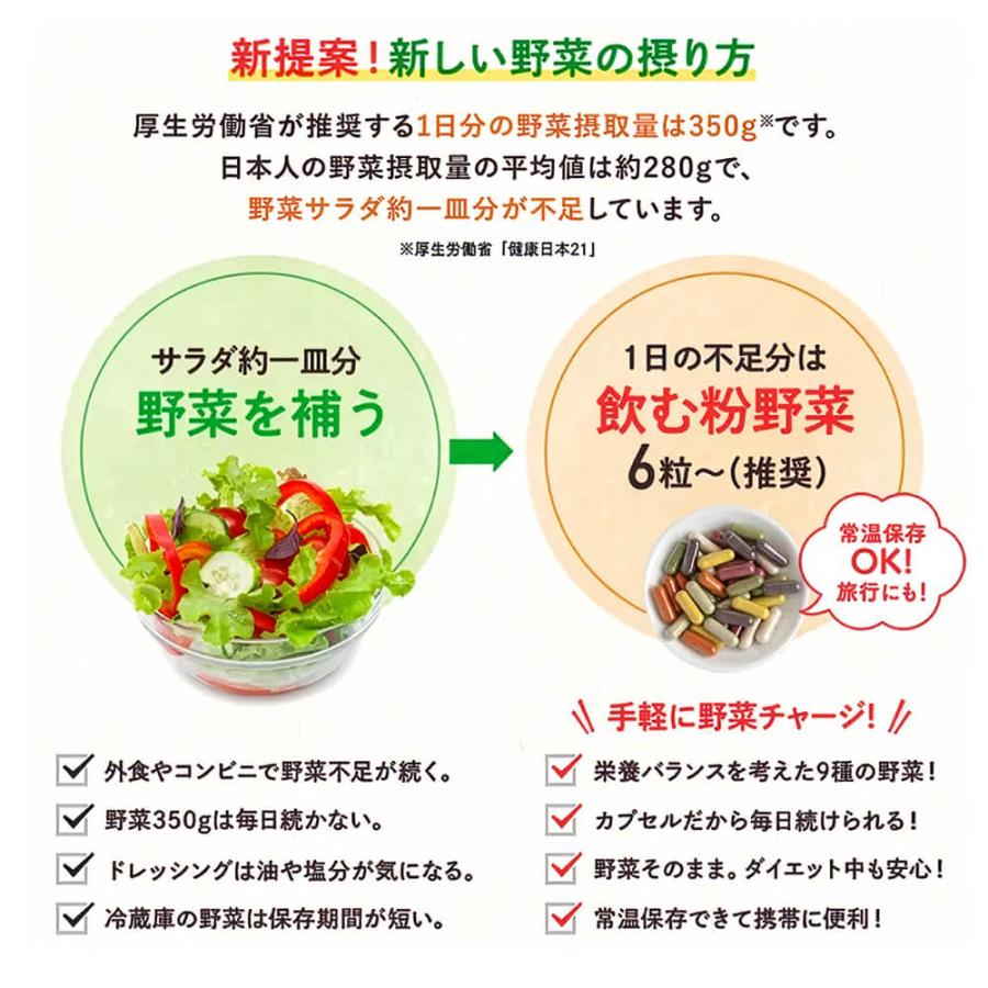 ベジタブルテック 飲む粉野菜 6つの野菜セレクション 90粒 野菜パウダー 国産100% 無添加 モリンガ配合 カプセル ヴィーガン サラダの代わりになる野菜サプリ 子 | ブランド登録なし | 02
