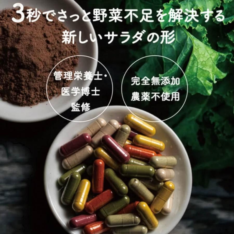 ベジタブルテック 飲む粉野菜 6つの野菜セレクション 90粒 野菜パウダー 国産100% 無添加 モリンガ配合 カプセル ヴィーガン サラダの代わりになる野菜サプリ 子 | ブランド登録なし | 04