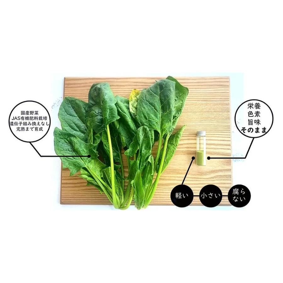 ベジタブルテック 飲む粉野菜 6つの野菜セレクション 90粒 野菜パウダー 国産100% 無添加 モリンガ配合 カプセル ヴィーガン サラダの代わりになる野菜サプリ 子 | ブランド登録なし | 06