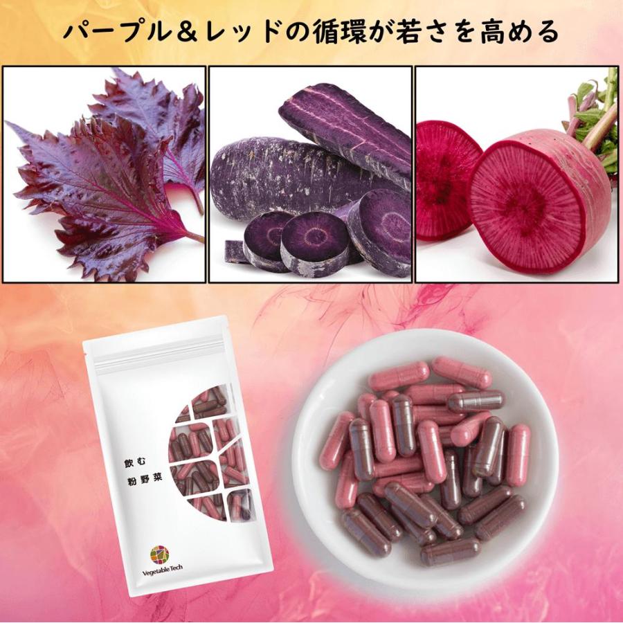 選べる２点セット 野菜サプリ 飲む粉野菜 ヴィーガン ベジタブルテック サラダの代わりになる90粒タイプ 9つの野菜 ケール・人参葉・ごぼう 赤紫蘇・紫人参・紅 | ブランド登録なし | 11