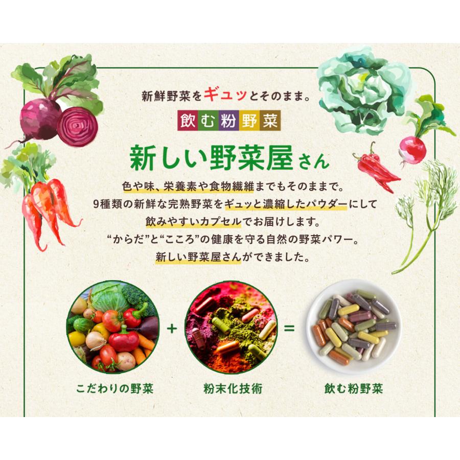 選べる２点セット 野菜サプリ 飲む粉野菜 ヴィーガン ベジタブルテック サラダの代わりになる90粒タイプ 9つの野菜 ケール・人参葉・ごぼう 赤紫蘇・紫人参・紅 | ブランド登録なし | 02