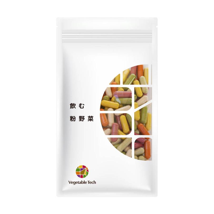 選べる２点セット 野菜サプリ 飲む粉野菜 ヴィーガン ベジタブルテック サラダの代わりになる90粒タイプ 9つの野菜 ケール・人参葉・ごぼう 赤紫蘇・紫人参・紅 | ブランド登録なし | 04