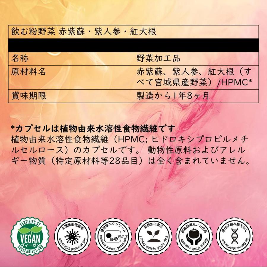 野菜サプリ 飲む粉野菜 ヴィーガン ベジタブルテック サラダの代わりになる90粒タイプ 9つの野菜 ケール・人参葉・ごぼう 赤紫蘇・紫人参・紅大根 野菜パウダー | ブランド登録なし | 12