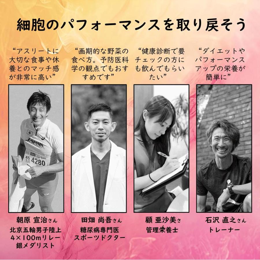 野菜サプリ 飲む粉野菜 ヴィーガン ベジタブルテック サラダの代わりになる90粒タイプ 9つの野菜 ケール・人参葉・ごぼう 赤紫蘇・紫人参・紅大根 野菜パウダー | ブランド登録なし | 13