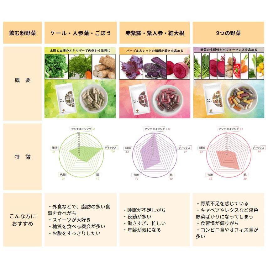 野菜サプリ 飲む粉野菜 ヴィーガン ベジタブルテック サラダの代わりになる90粒タイプ 9つの野菜 ケール・人参葉・ごぼう 赤紫蘇・紫人参・紅大根 野菜パウダー | ブランド登録なし | 03