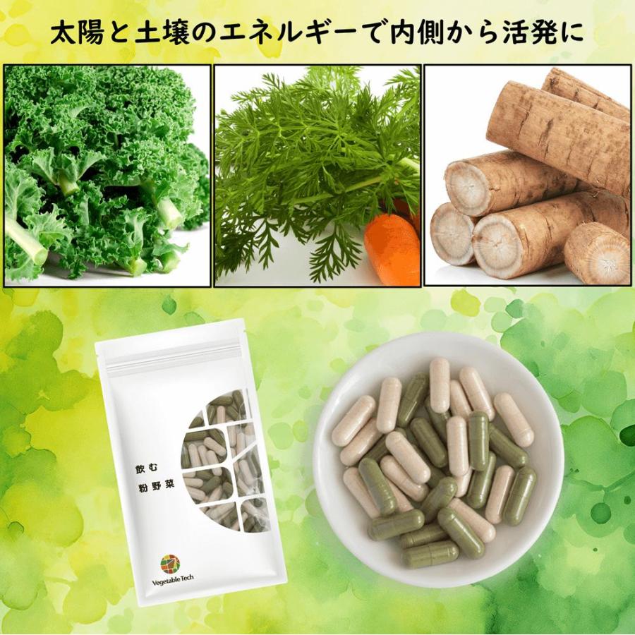 野菜サプリ 飲む粉野菜 ヴィーガン ベジタブルテック サラダの代わりになる90粒タイプ 9つの野菜 ケール・人参葉・ごぼう 赤紫蘇・紫人参・紅大根 野菜パウダー | ブランド登録なし | 07