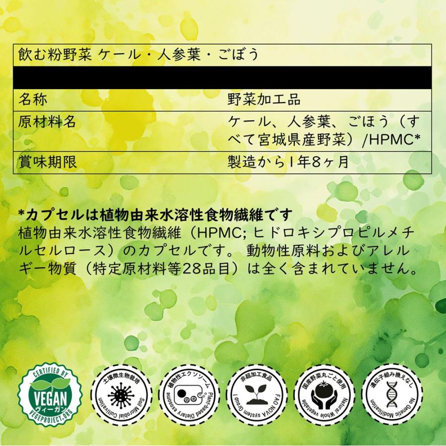 野菜サプリ 飲む粉野菜 ヴィーガン ベジタブルテック サラダの代わりになる90粒タイプ 9つの野菜 ケール・人参葉・ごぼう 赤紫蘇・紫人参・紅大根 野菜パウダー | ブランド登録なし | 08