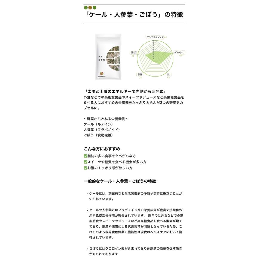 野菜サプリ 飲む粉野菜 ヴィーガン ベジタブルテック サラダの代わりになる90粒タイプ 9つの野菜 ケール・人参葉・ごぼう 赤紫蘇・紫人参・紅大根 野菜パウダー | ブランド登録なし | 09