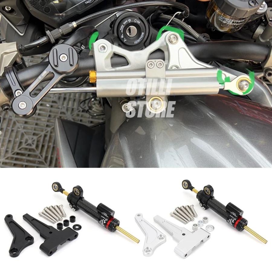並行輸入品】 新ストリートトリプル765R 765RS 765 R RS