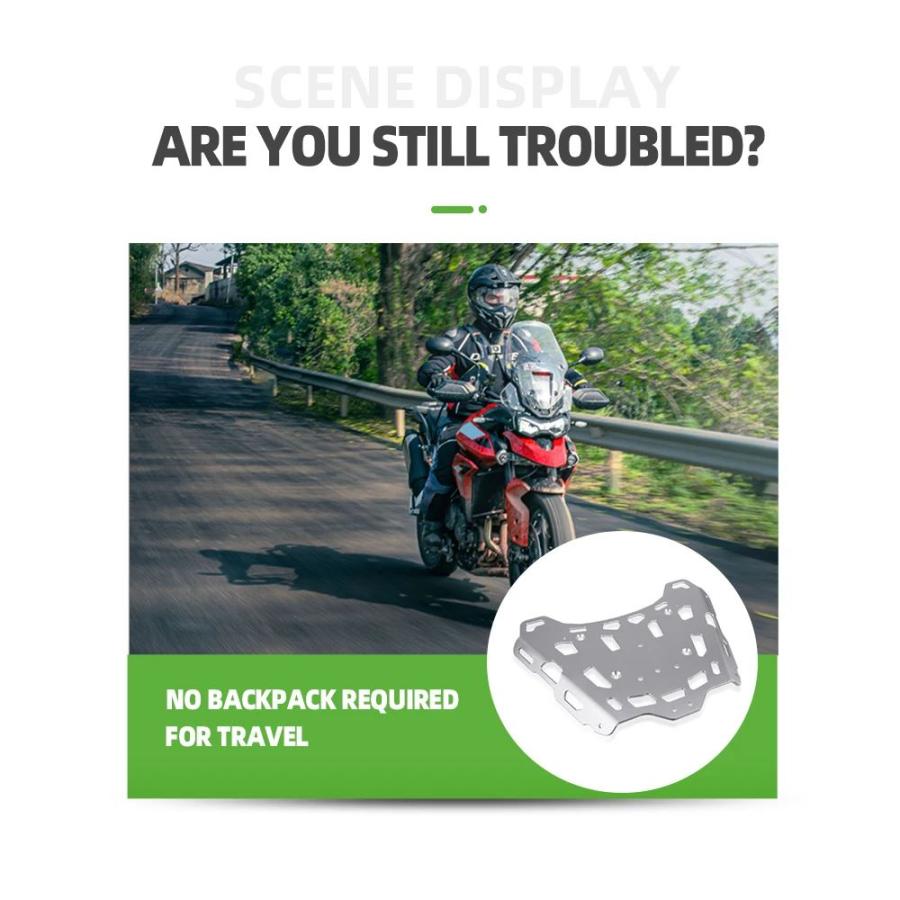 並行輸入品】 トライアンフタイガー 900 ラリー GT プロタイガー 850