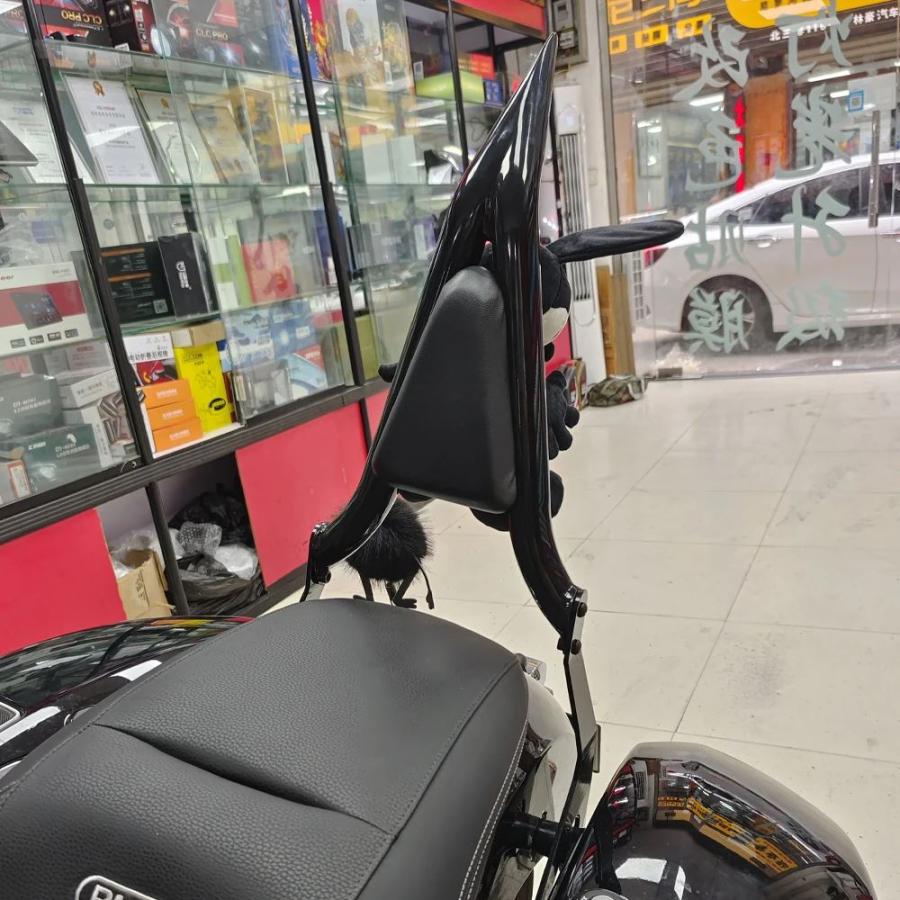 並行輸入品 バイク用バックレスト トライアングル対応 BMW R18