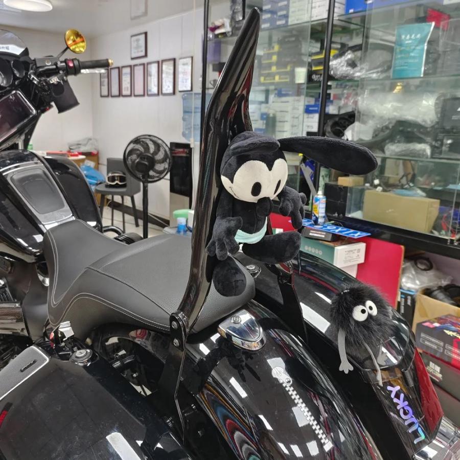 並行輸入品 バイク用バックレスト トライアングル対応 BMW R18