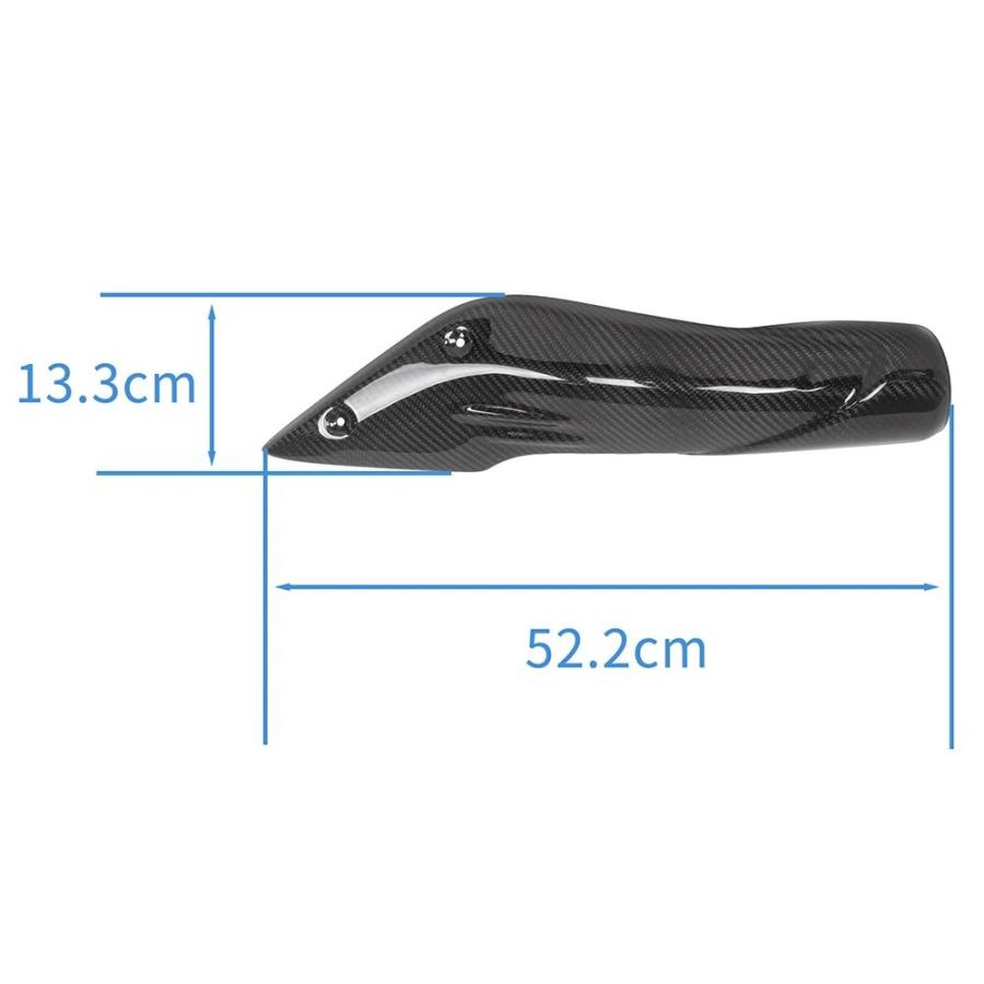 並行輸入品 MOTO4U-カーボンサイドエアインテークカバー ラム
