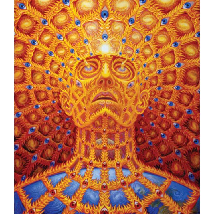 alex gray アレックスグレイ　サイン入りポスター　額なし ALEX GREY ポスター「Shpongled」