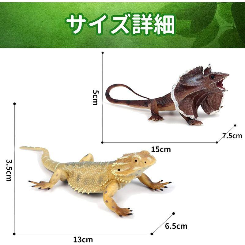 UTST トカゲ フィギュア 爬虫類 フィギュア フトアゴヒゲトカゲ エリマキトカゲ ゾウガメ 6+ (フトアゴヒゲ＋エリマキトカゲ ... - PtDreamstore 20230407100240 00355 5 D 20230407102923