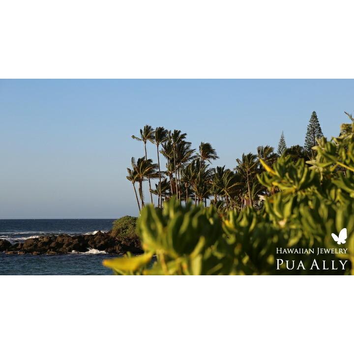 ハワイアン コアウッド デューク ボールペン 木製 メンズ 男性 高級ボールペン ブランド おしゃれ ハンドメイド 就職祝い 父の日 還暦 名入れ 刻印 ハワイアンジュエリーpuaally 通販 Yahoo ショッピング