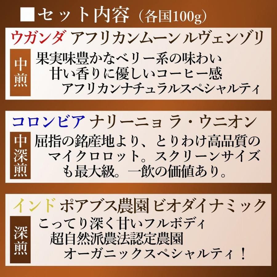 NOVO専用マイクロロット 最高級グレード スペシャルティ豆 産地特選 3