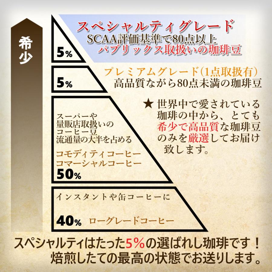 NOVO専用マイクロロット 最高級グレード スペシャルティ豆 産地特選 3