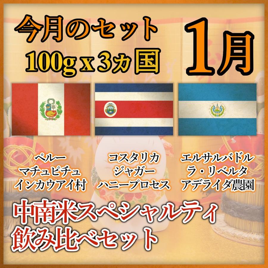 今月のセット 1月 最高級グレード スペシャルティ豆 ３種 計300ｇ (各100g） 飲み比べセット お試し ポイント消化 味わいの違う３種 | ブランド登録なし