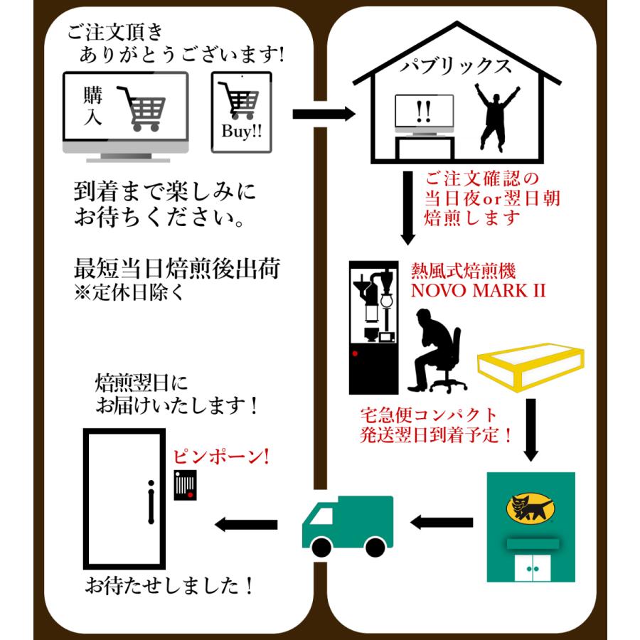 今月のセット 1月 最高級グレード スペシャルティ豆 ３種 計300ｇ (各100g） 飲み比べセット お試し ポイント消化 味わいの違う３種 | ブランド登録なし | 09
