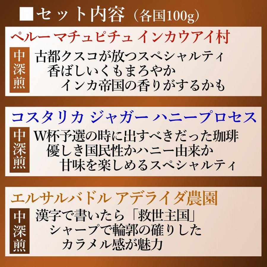 今月のセット 1月 最高級グレード スペシャルティ豆 ３種 計300ｇ (各100g） 飲み比べセット お試し ポイント消化 味わいの違う３種 | ブランド登録なし | 01