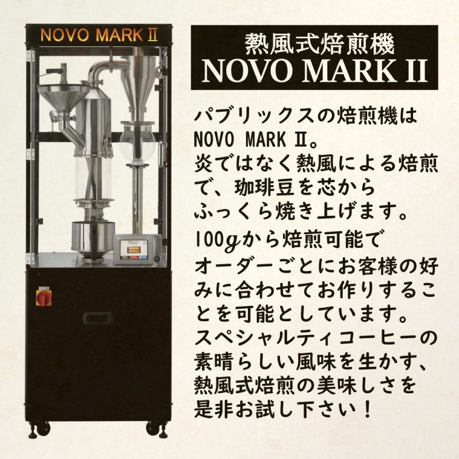 焙煎 200g パプアニューギニア AA シグリ農園 : コーヒー豆 自家焙煎