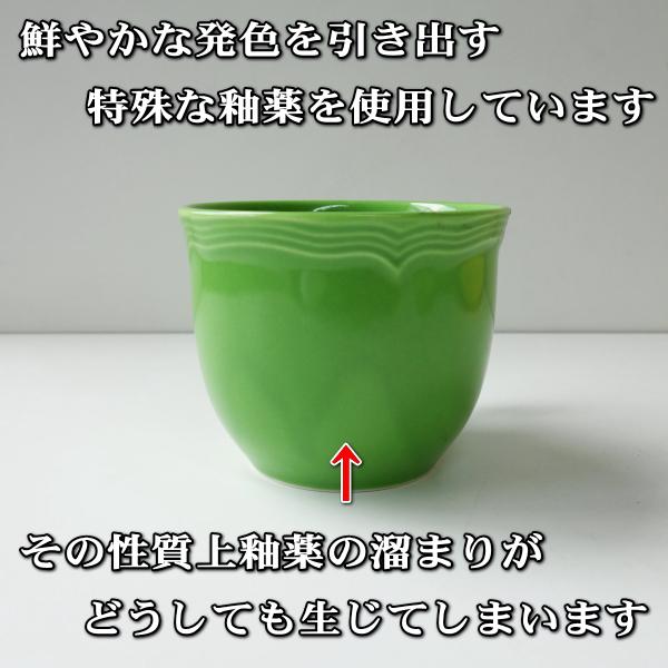 送料無料 バロック グリーン カップ ソーサー 2客 セット 満水 200ml