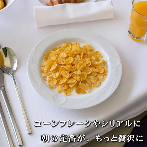 ヴィンテージ食器 MIKASA ミカサ クラシックフレア 18cm ボウル レンジ