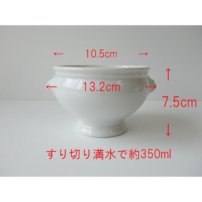 わけあり ライオンヘッド トリュフボウル 10cm 中 レンジ可 食洗機対応