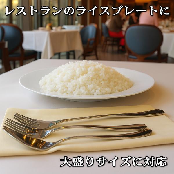 ミルキーホワイト 20cm リム プレート ケーキ皿 レンジ可 食洗機対応