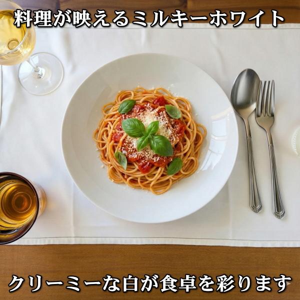 ミルキーホワイト 19cm コンパクト 深皿 パスタ皿 カレー皿 白 磁器