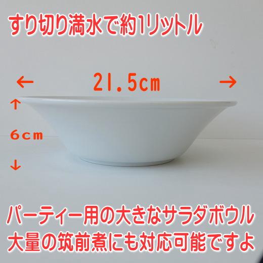 大鉢 軽い 皿 食器 大きい 軽量 レーべ 21cm ボウル サラダ 大 レンジ
