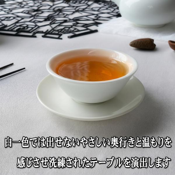 バイカラー 白磁 中国茶 カップ＆ソーサー 美濃焼 日本製 130ml 飲茶