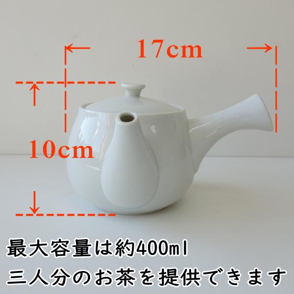 訳あり 茶こし 付き 急須 3人用 きゅうす 満水 400ml レンジ可 食洗機
