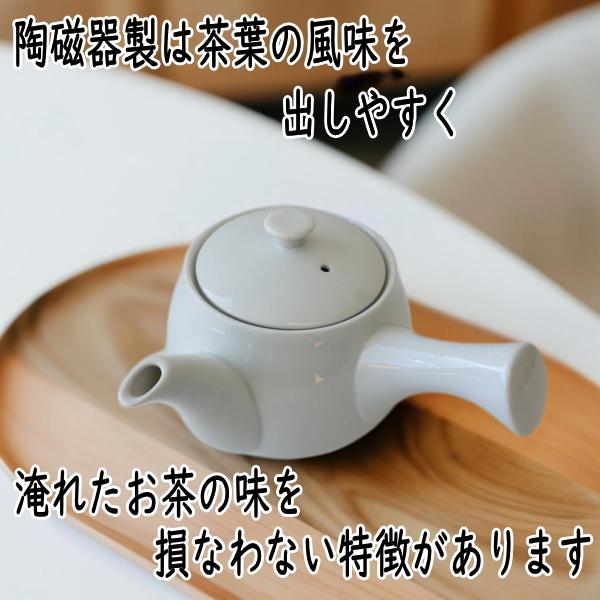 訳あり 茶こし 付き 急須 3人用 きゅうす 満水 400ml レンジ可 食洗機
