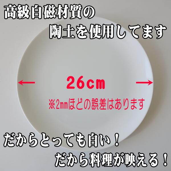 大皿 丸皿 白磁 26cm 中華皿 プレート レンジ可 食洗器対応 美濃