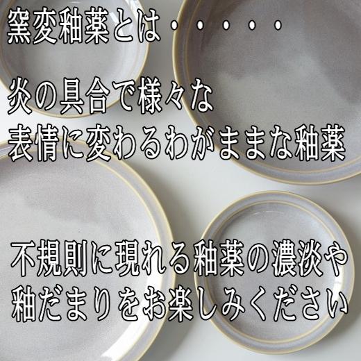 中皿 高級 白サンゴ 22cm 和風 ケーキ皿 プレート レンジ可 食洗機対応