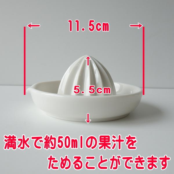 陶器 レモン フルーツ 絞り器 電子レンジ可 食洗機対応 日本製 美濃焼