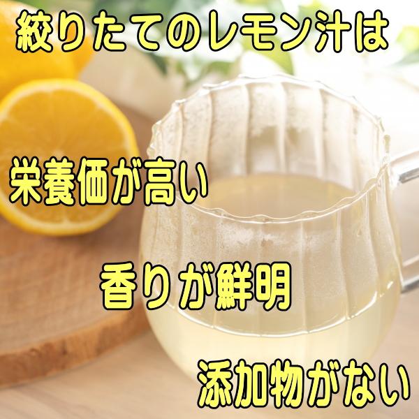 陶器 レモン フルーツ 絞り器 電子レンジ可 食洗機対応 日本製 美濃焼