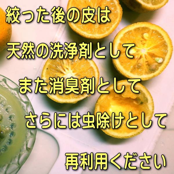 陶器 レモン フルーツ 絞り器 電子レンジ可 食洗機対応 日本製 美濃焼