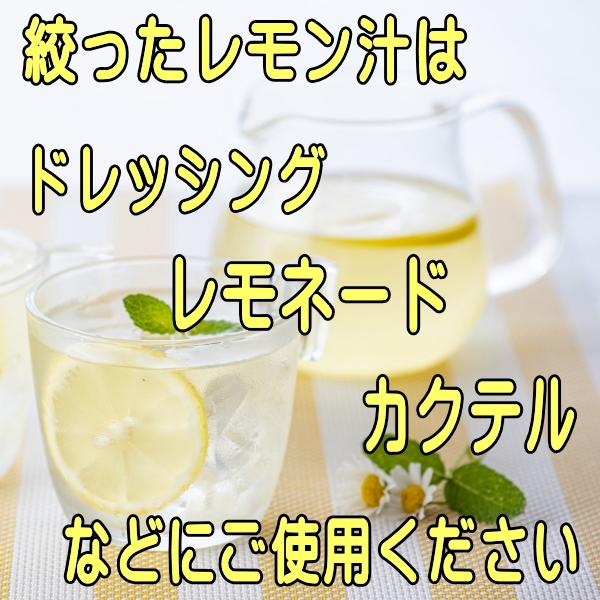 陶器 レモン フルーツ 絞り器 電子レンジ可 食洗機対応 日本製 美濃焼