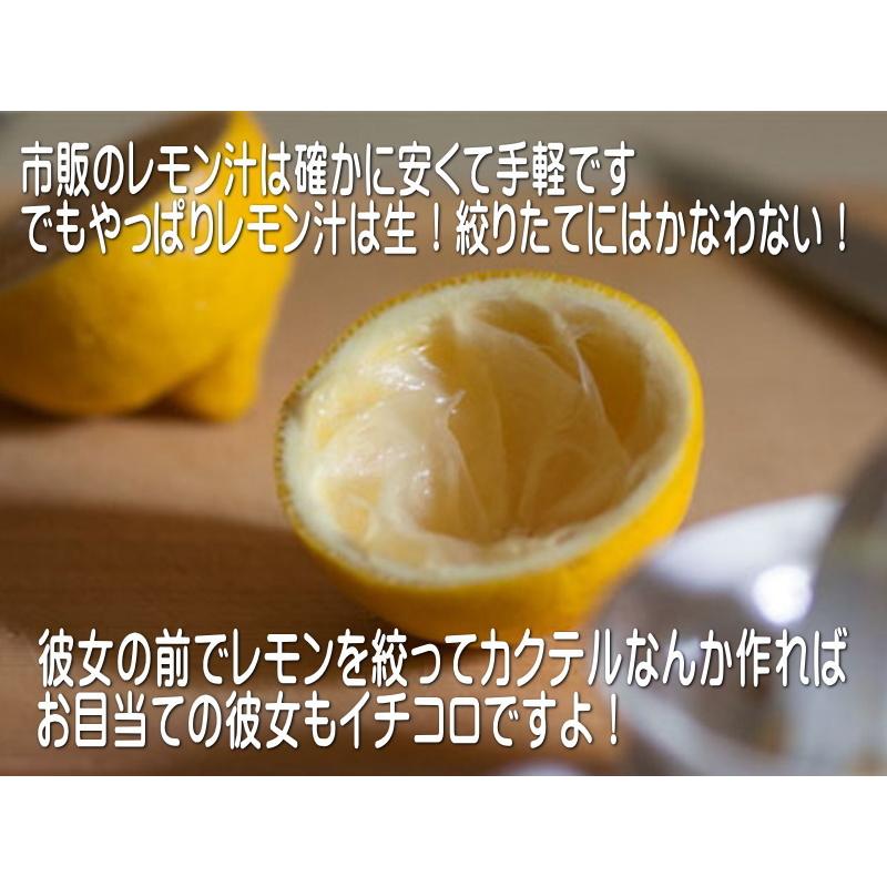 送料無料 レモン 果汁 絞り器 ５個セット 陶器 グレープフルーツ オレンジ キッチン 手作り ジュース すだち 柑橘 フルーツ みかん ゆず 食洗器対応 日本製 Sksk039set 食器と陶器のネット通販プチエコ 通販 Yahoo ショッピング