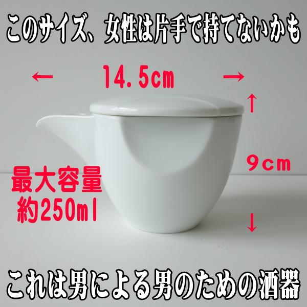 送料無料 男の 片口 徳利 2個 セット 酒器 陶器 白磁 蓋つき レンジ可