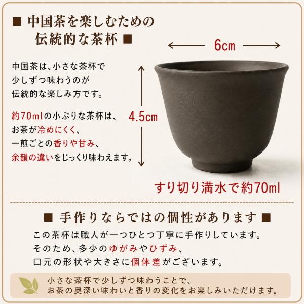 送料無料 朱泥陶器 中国茶 かんたん 茶器セット 初心者向け 宜興茶壺