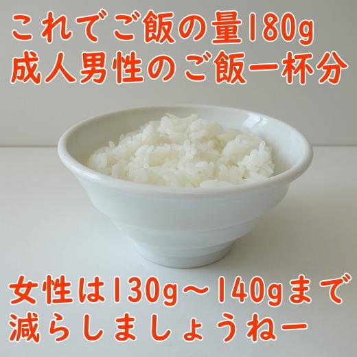 ご飯茶碗 おしゃれ 鳴門の渦潮 12cm 茶碗 レンジ可 食洗器対応