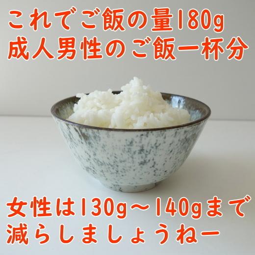 ごはん茶わん 12cm 残雪 ご飯茶碗 女性用 小 レンジ可 食洗機対応 美濃
