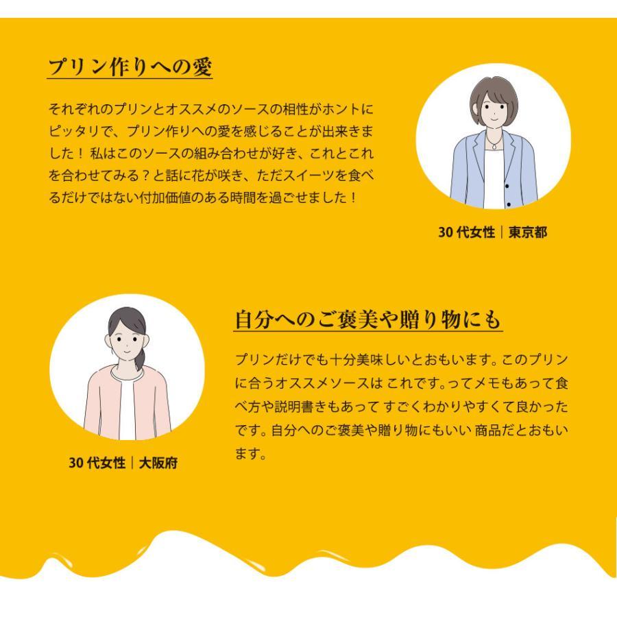 プリン ギフト バレンタイン ホワイトデー 高級 内祝 誕生日 お返し プレゼント 洋菓子 お取り寄せ プリン研究所 PUDDING HISTORY 6個入り |  | 10