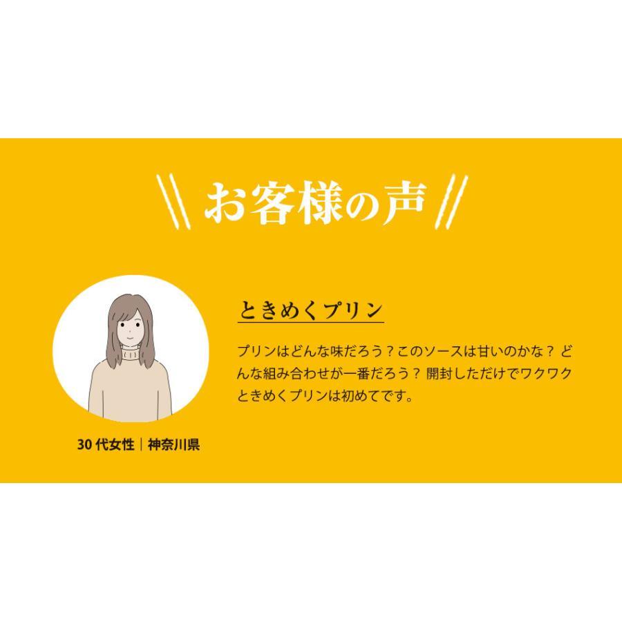 プリン ギフト バレンタイン ホワイトデー 高級 内祝 誕生日 お返し プレゼント 洋菓子 お取り寄せ プリン研究所 PUDDING HISTORY 6個入り |  | 09