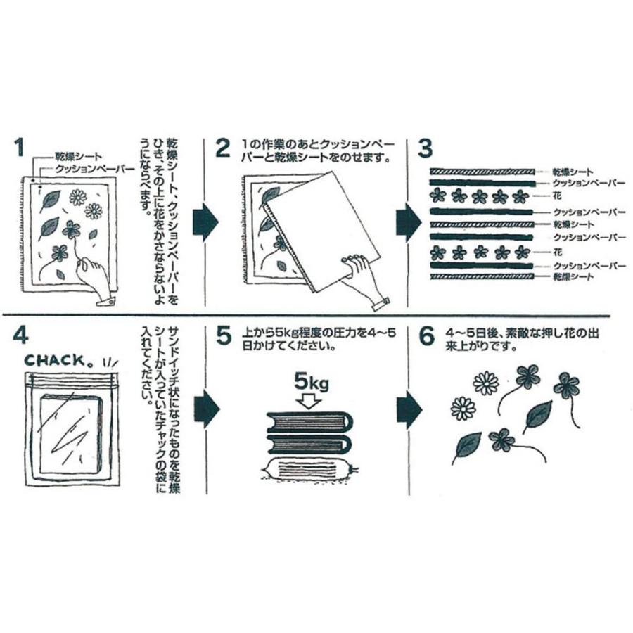 押し花 乾燥シートセット FS-106 オーアールエス 送料無料 : puedo
