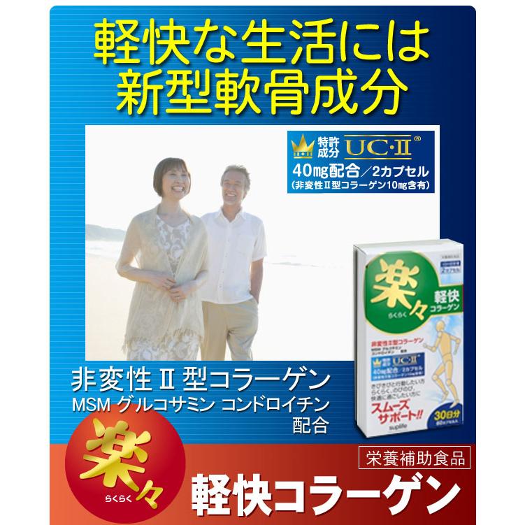 新型コラーゲン｜楽々軽快コラーゲン60粒(3個セット 3ヶ月分) 非変性2